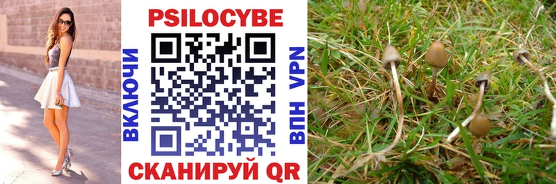 Псилоцибиновые грибы ЛСД Купить закладки Курчалой